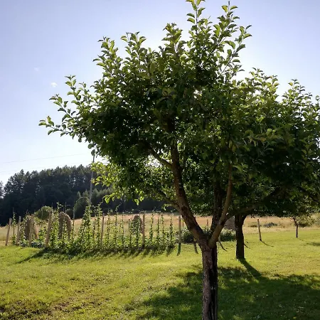 U Wojaka * Muszyna